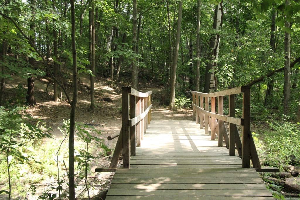 Hiking Trails