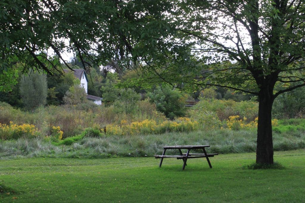 Scenic Hiking Trails