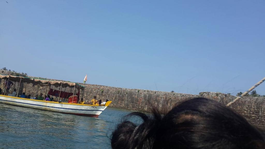 Diverse Marine Species