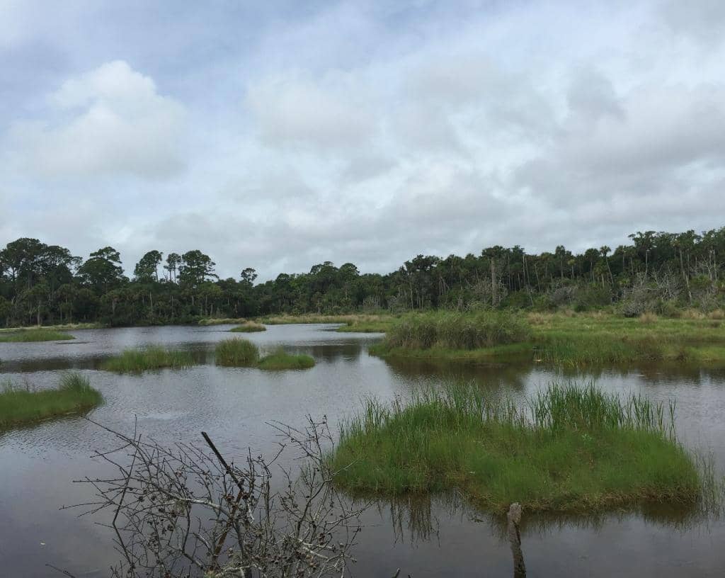 Bulow Plantation Ruins