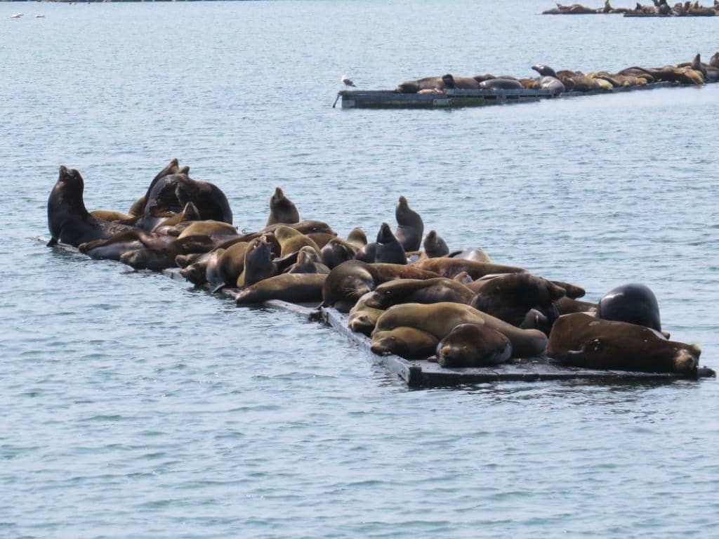Crescent Beach Overlook