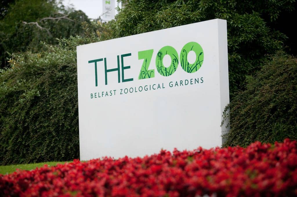 Rainforest Adventure