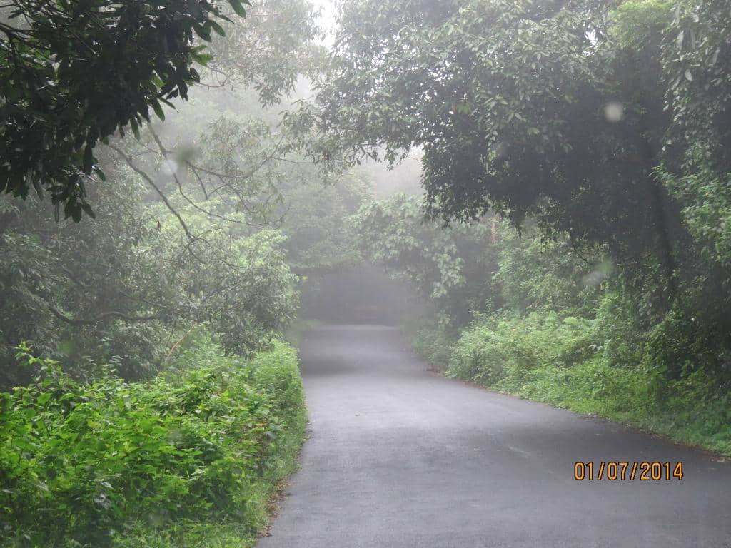 Vertical photo