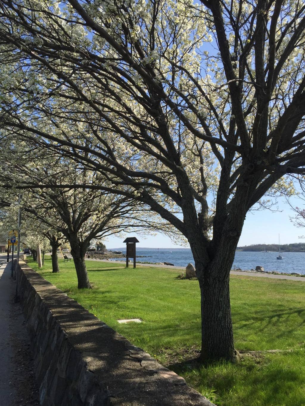 The Everyman Theatre
