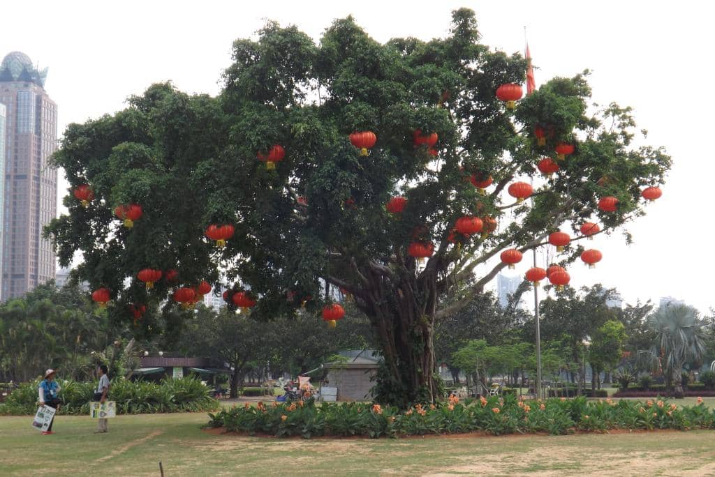 Sports Courts & Tables