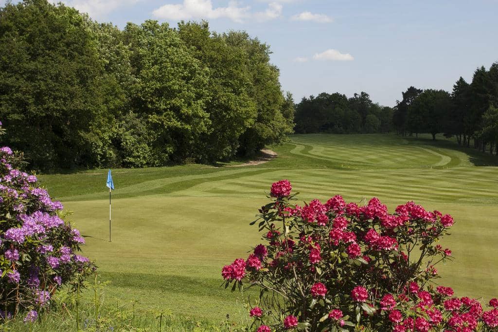 Landscaped Parkland