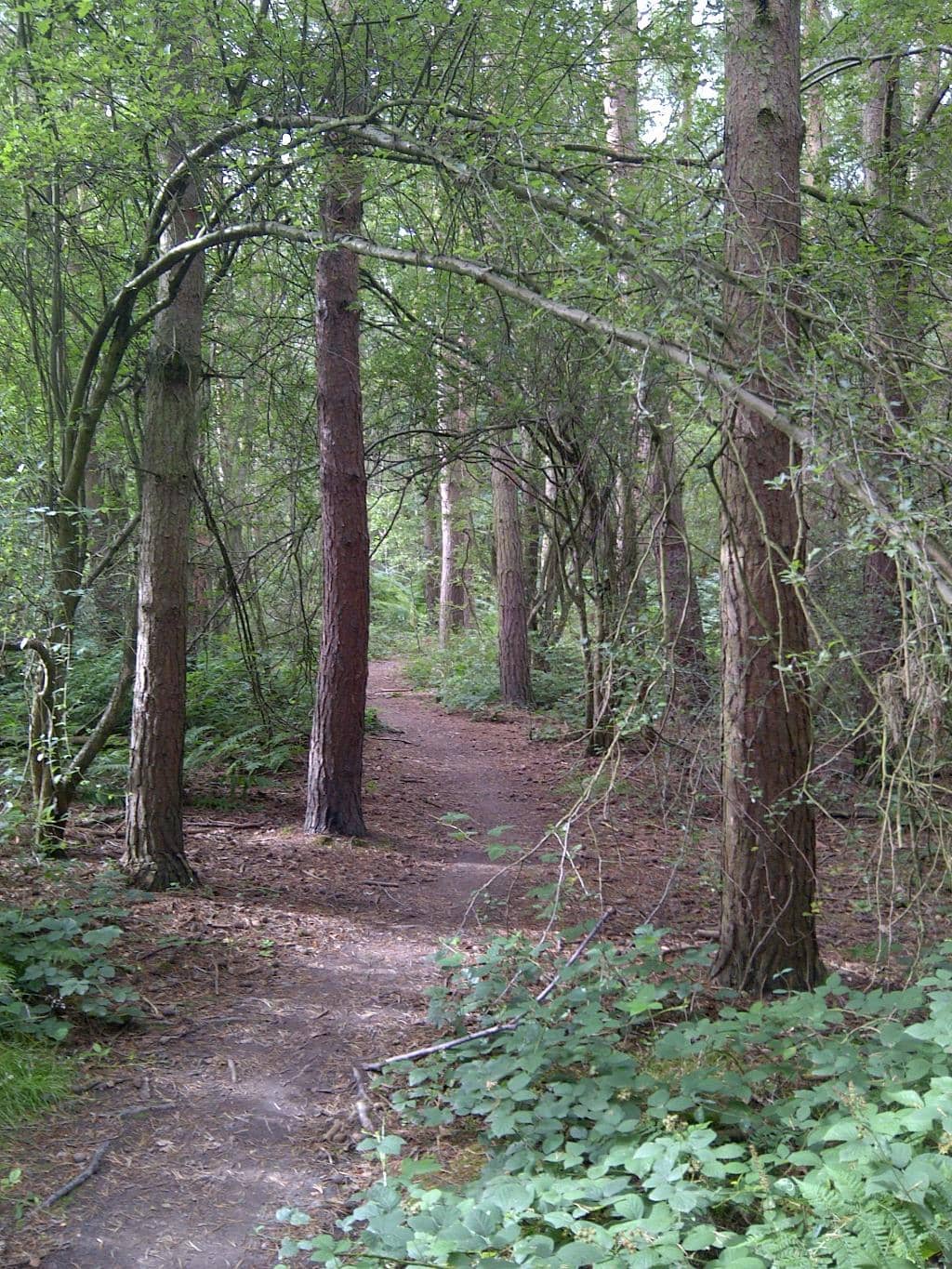 Zog Family Trail