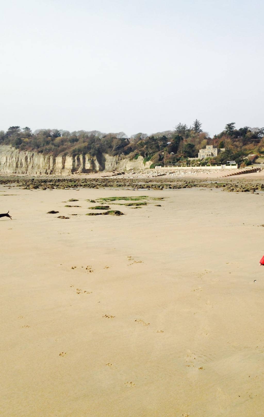 The Long Shingle Stretch