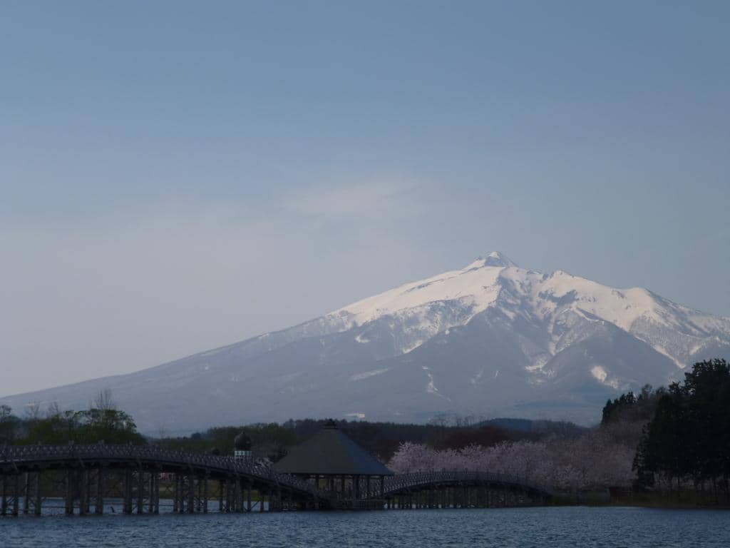 Tsuruta Mother Tree