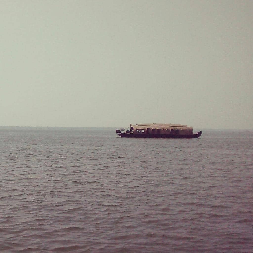 Below Sea Level Paddy Fields