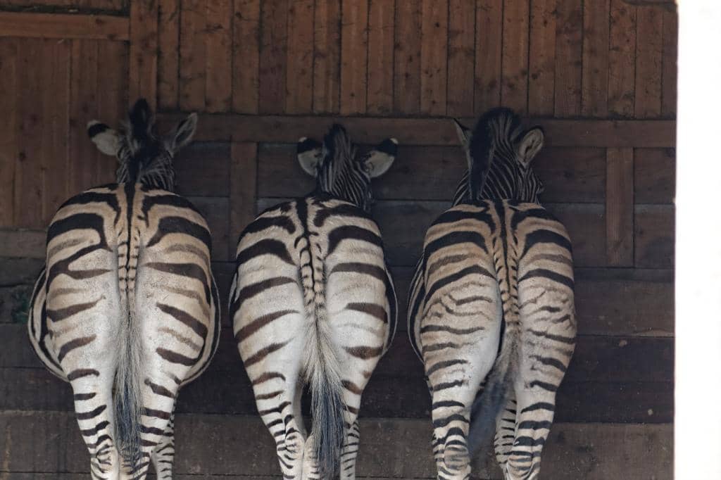 Relaxing Terrace Cafe