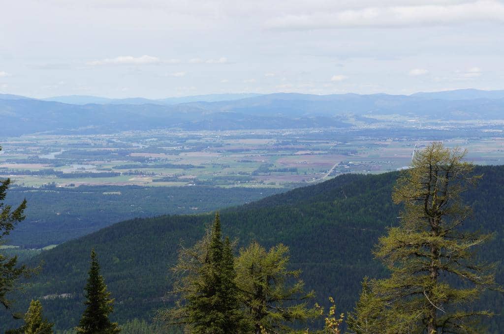 Sukhna Lake Reserve Forest Trail