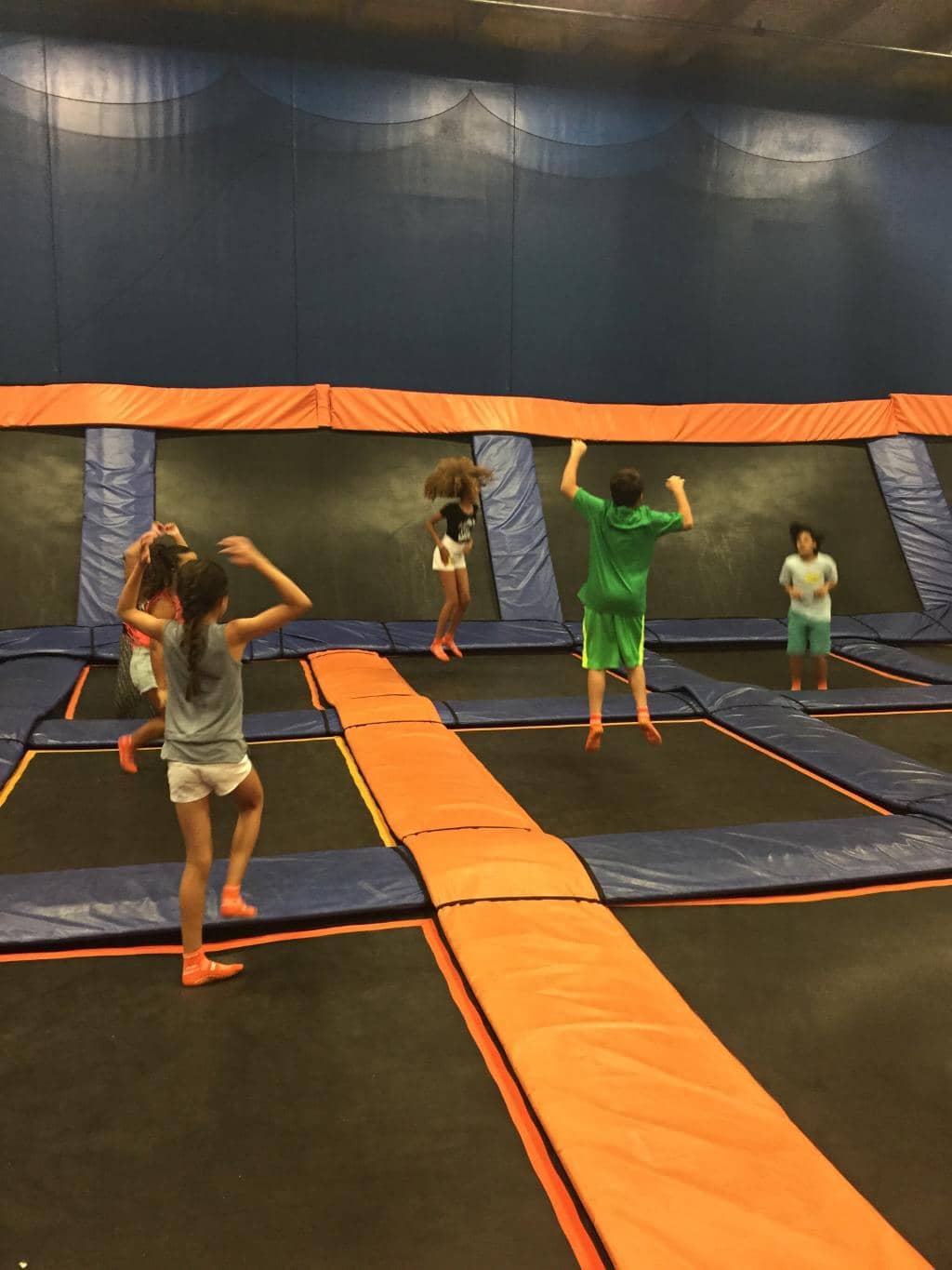 Dodgeball Arena