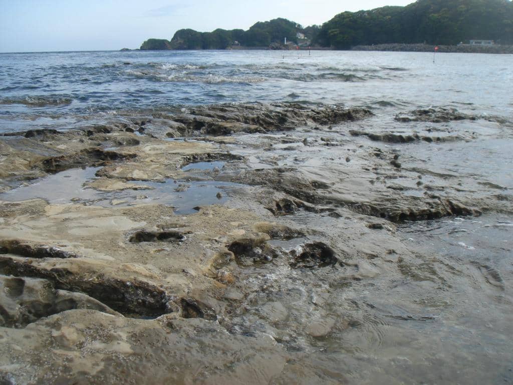 Calm Swimming Bay