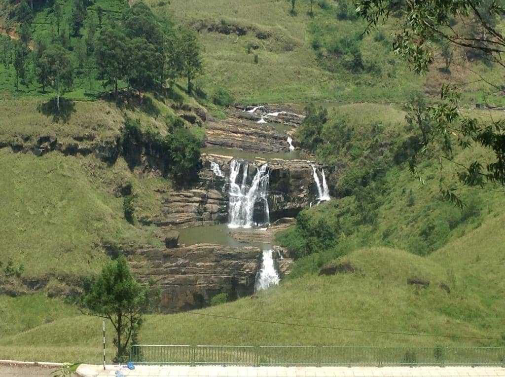 Tea Estate Vistas