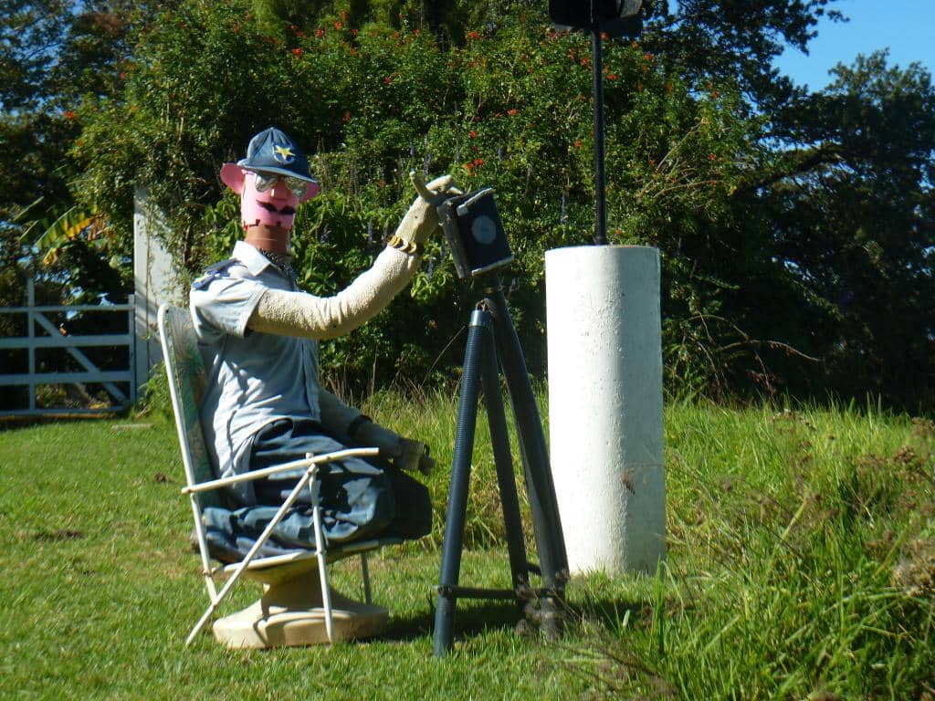 Circles in the Forest Trail