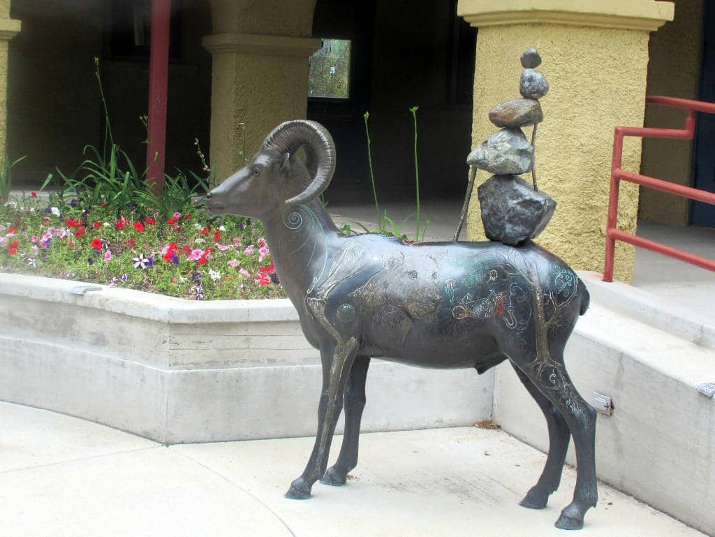 Feed the Camel Food Truck Wednesdays