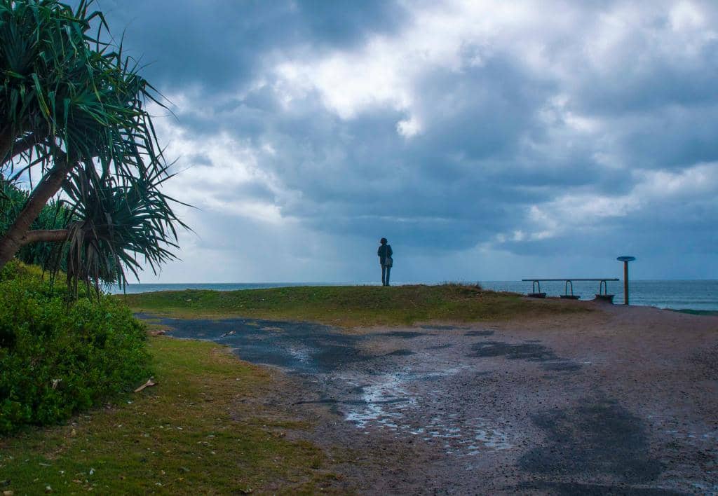 Dog-Friendly Paradise