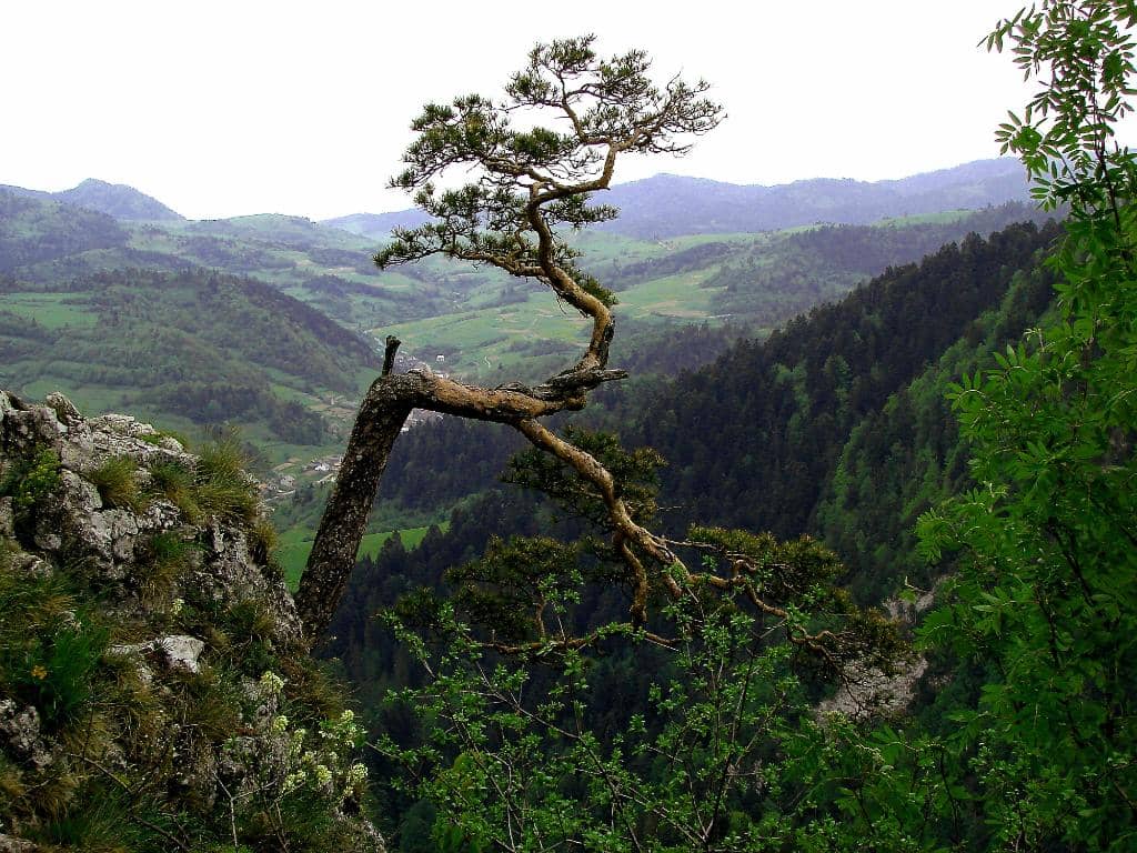 Steep Rocky Ascent