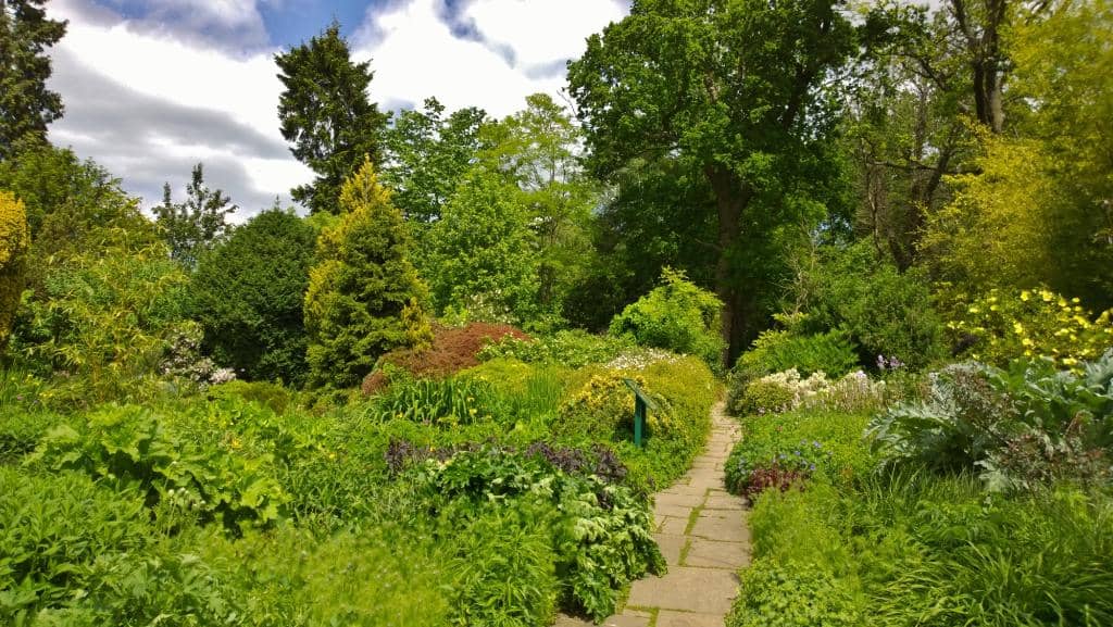 Aviary and Pond