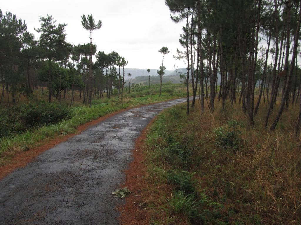 Scenic Approach Road