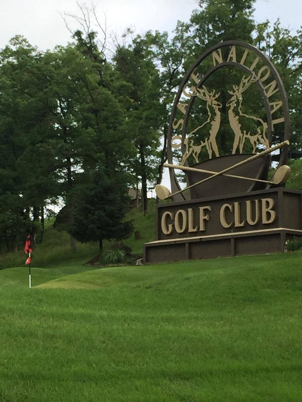 Scenic River and Mountain Views