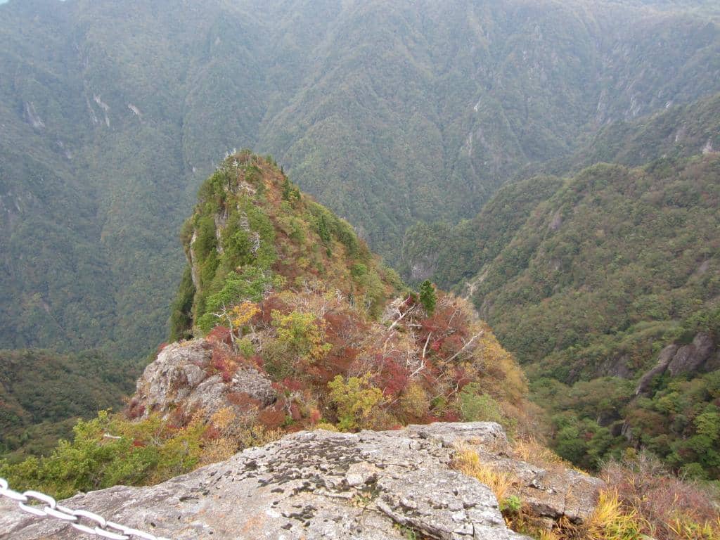 Wildlife Spotting Opportunities