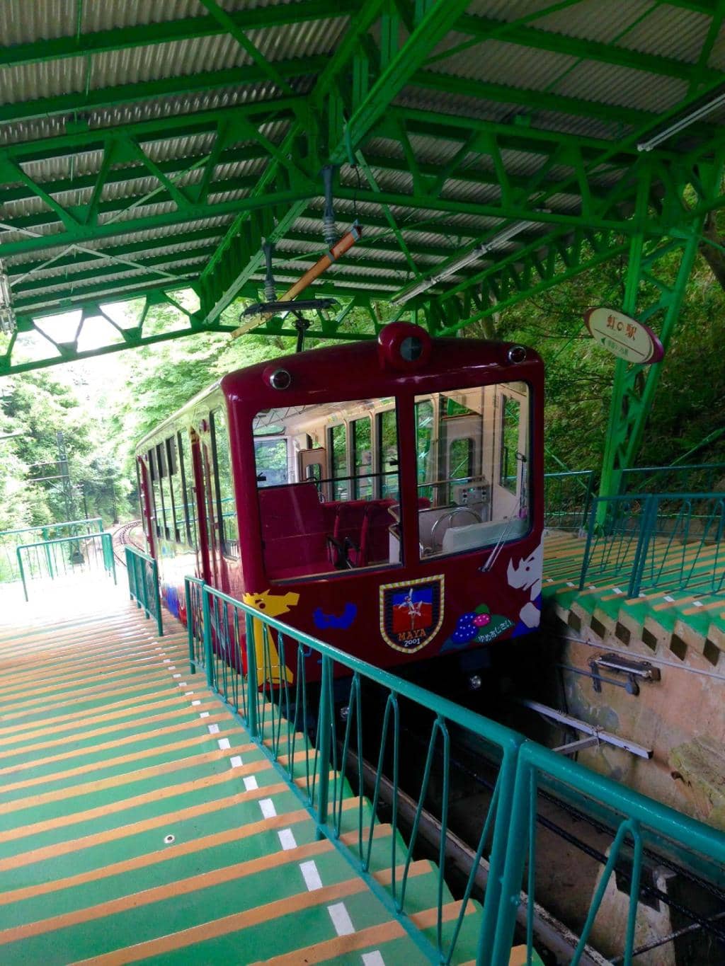 Panoramic Night View