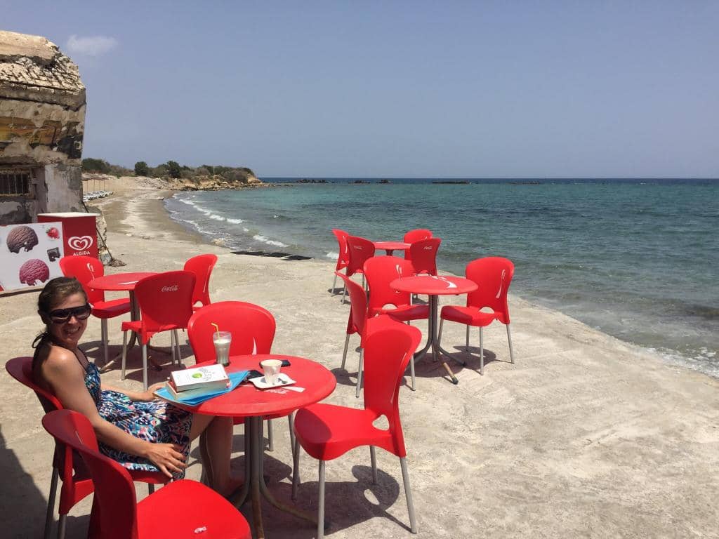 Sandy Shores & Palm Trees