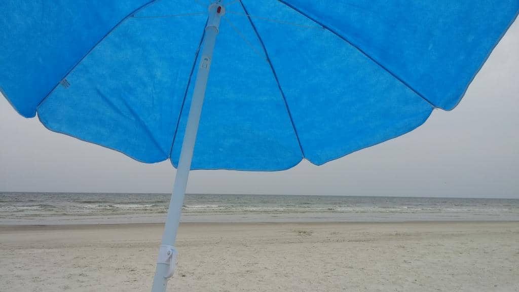 Shelling Adventures