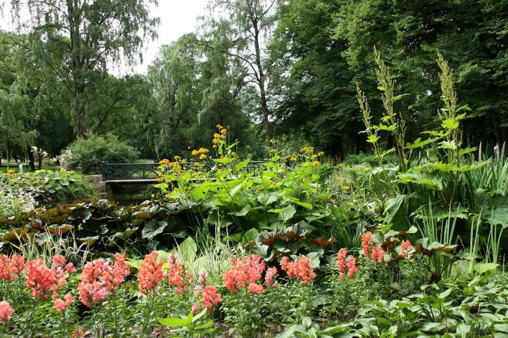 Seasonal Blooms