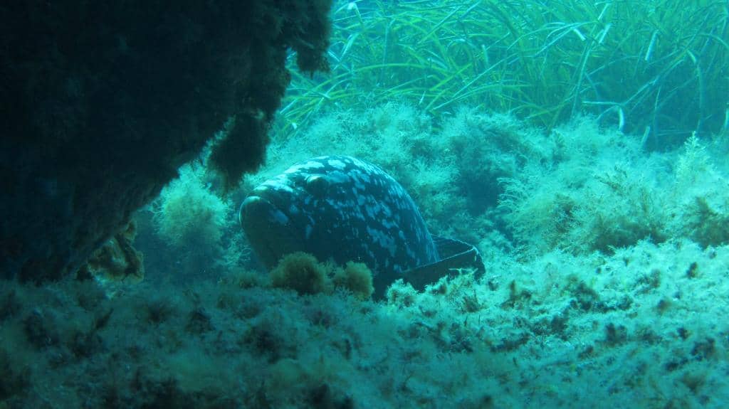 Island Trekking Trails