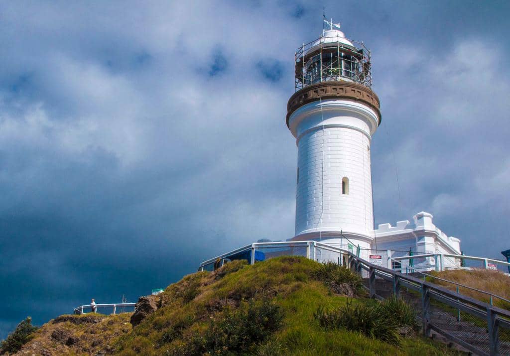 Whale & Dolphin Watching