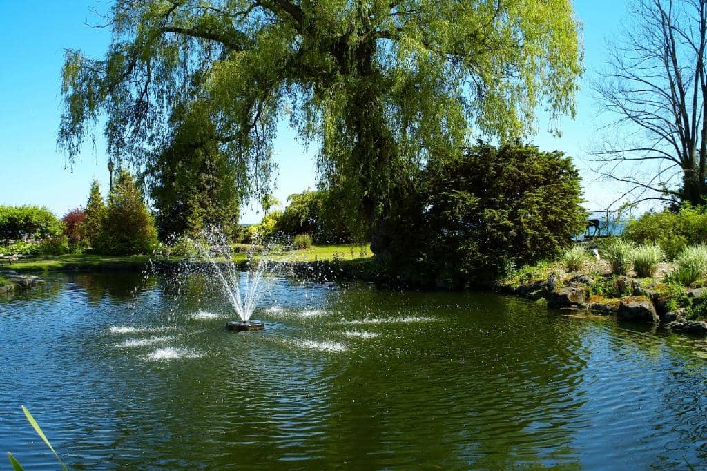 Pond with Fountain