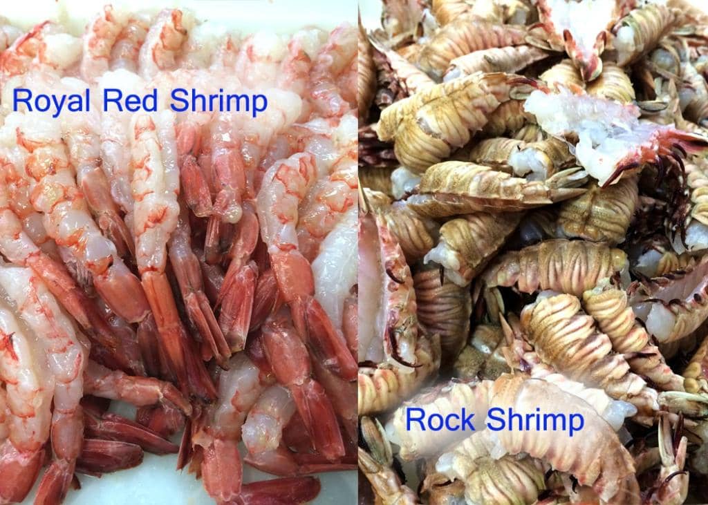 Addictive Corn Fritters