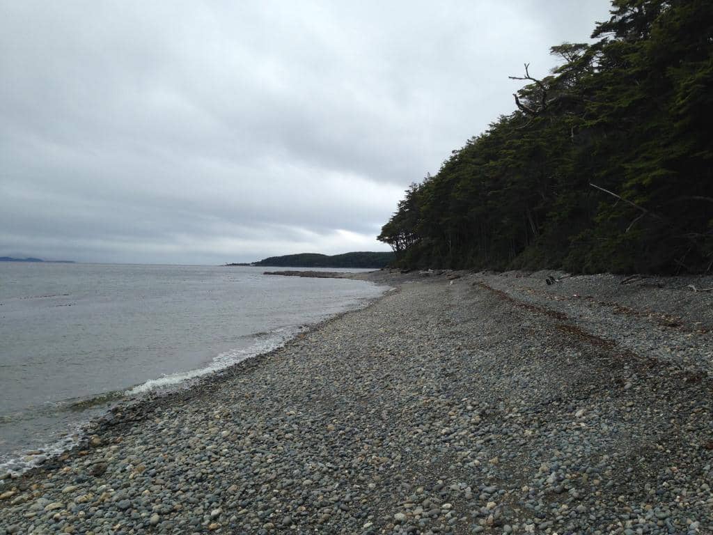 Marine Wildlife Spotting