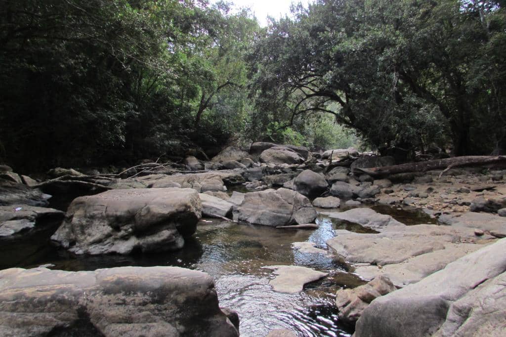 Serene Pools