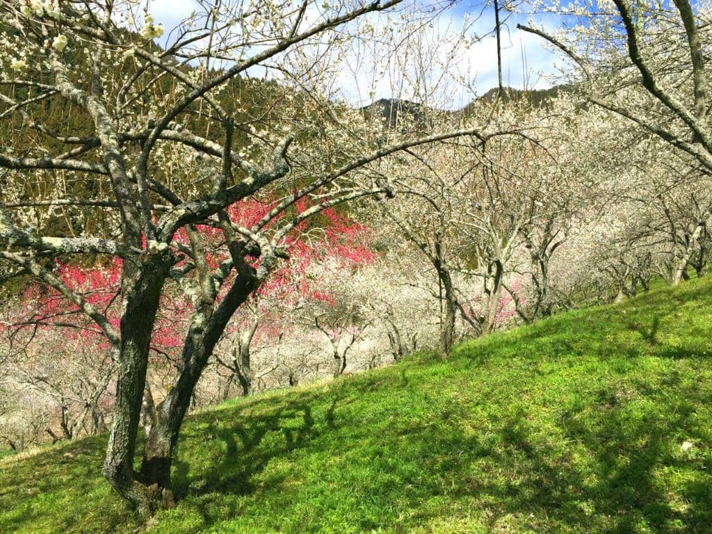 Vertical photo