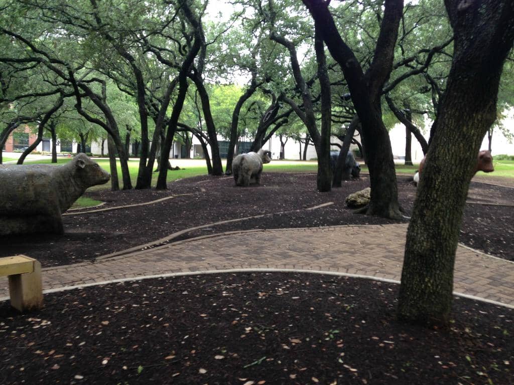 Diverse Retail Therapy