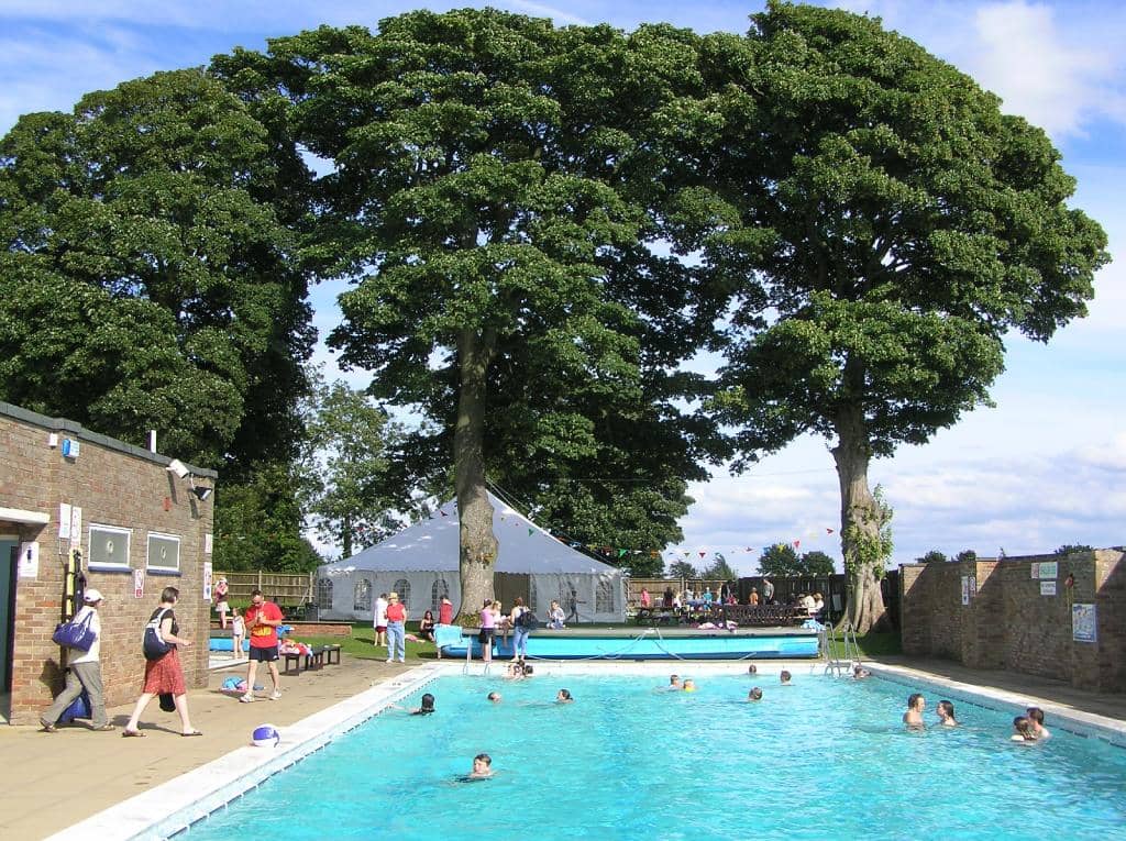 Dog Swim Fundraiser
