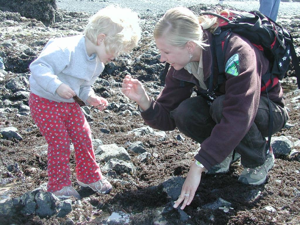 Tidepools at Cobble Beach