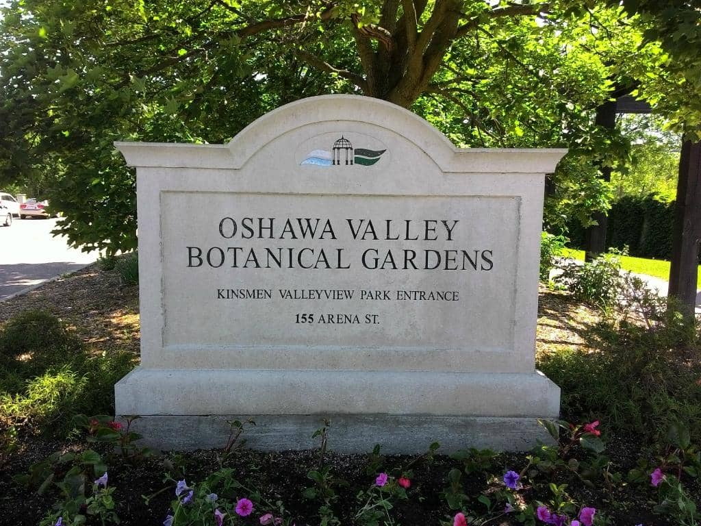 Kid-Friendly Play Areas