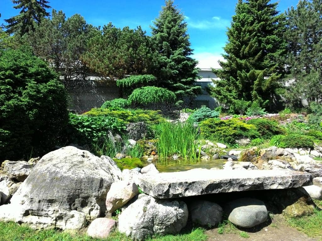 Picturesque Bridges