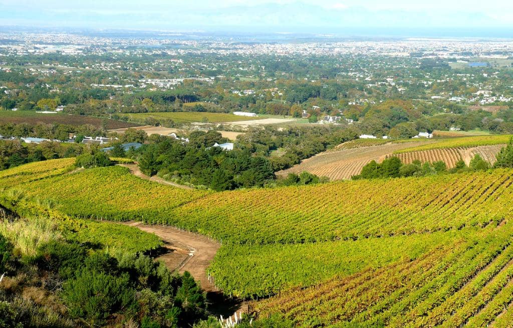 Historic Cellar Tour
