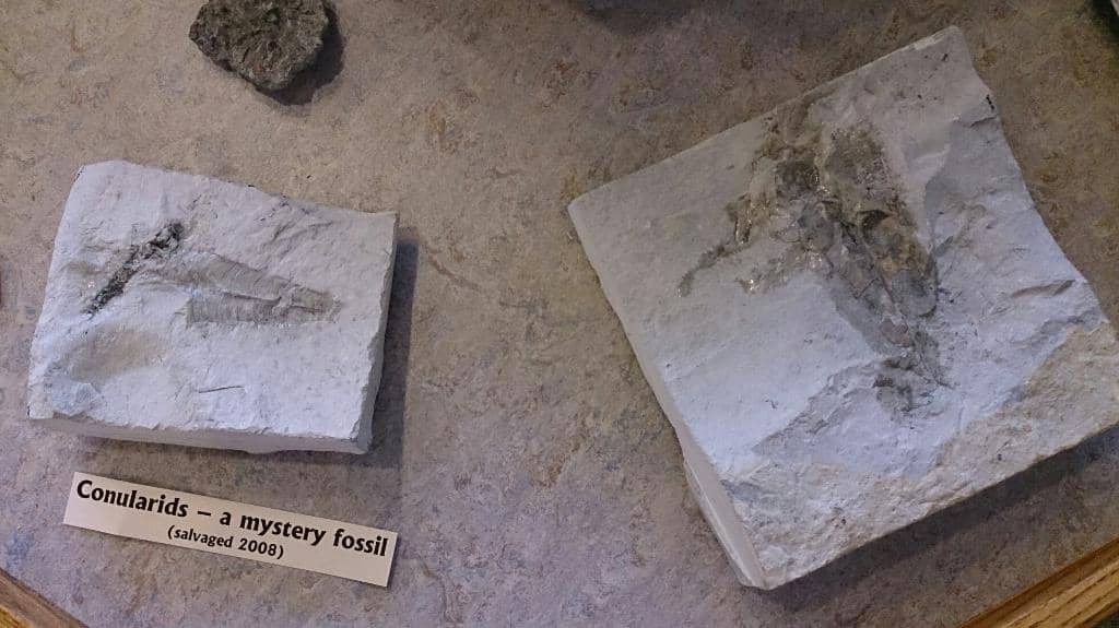 Accessible Viewing Area