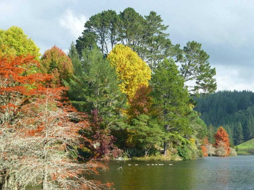 Disc Golf Course