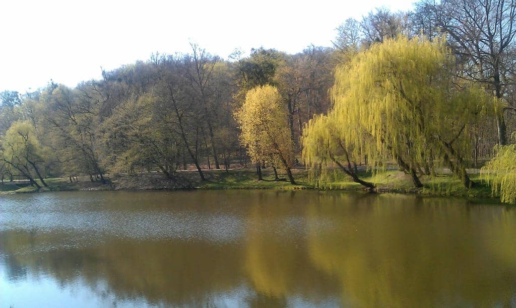 Serene Lake with Fountain