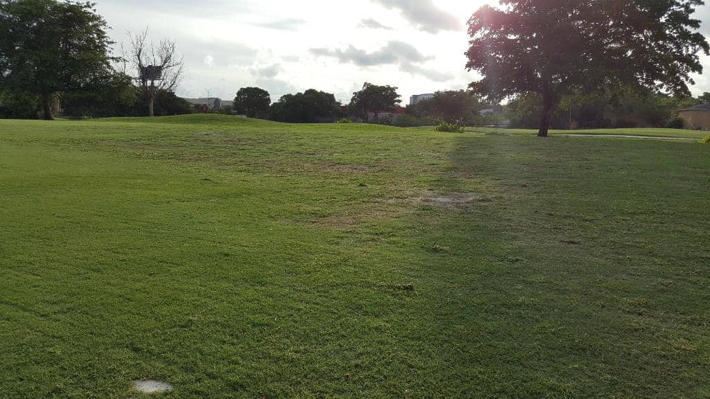 Mature, Strategic Layout