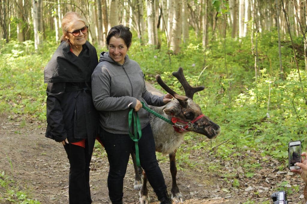 Reindeer History & Adaptations