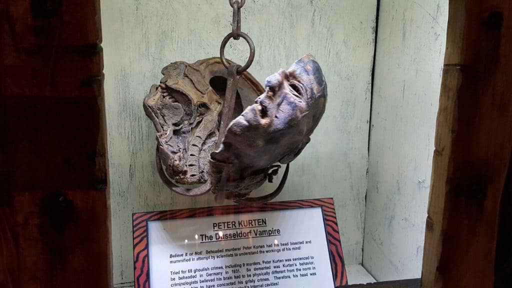 Unusual Art & Oddities